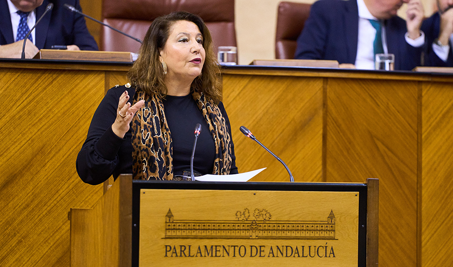 La consejera de Agricultura, en su comparecencia ante el Parlamento.